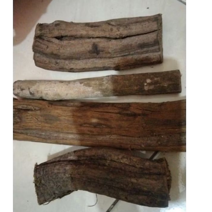 

AKAR kayu bajakah potongan utuh MERAH dan KUNING