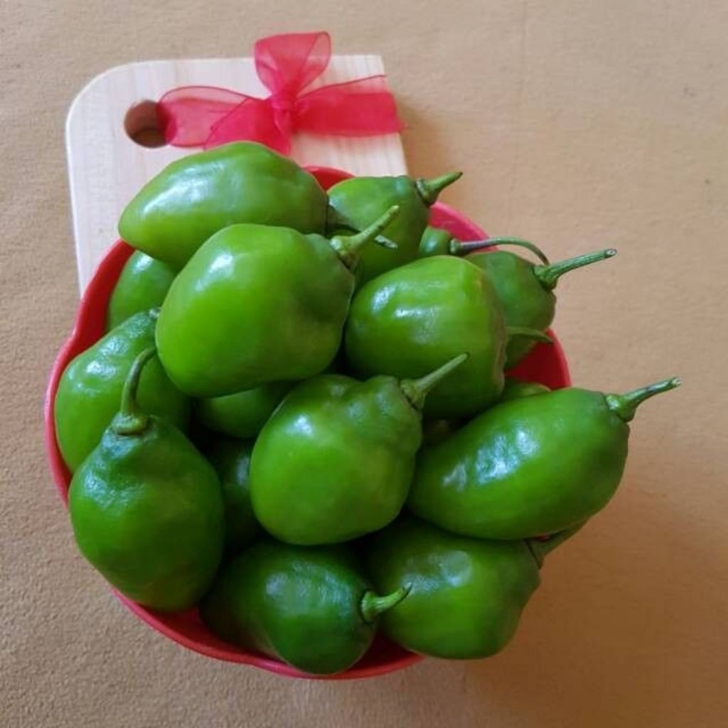 

CabeGenot Bandung Segar250gr