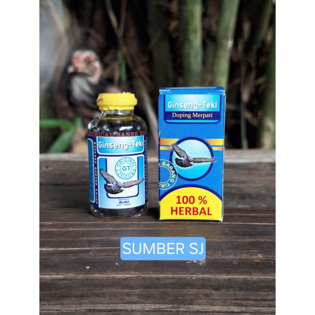 GINGSENG TEKI DOPING MERPATI CEPAT GIRING