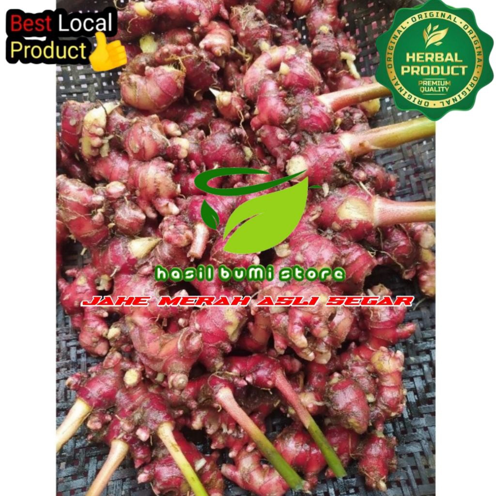 

jahe merah segar 1kg berkualitas tinggi asli segar