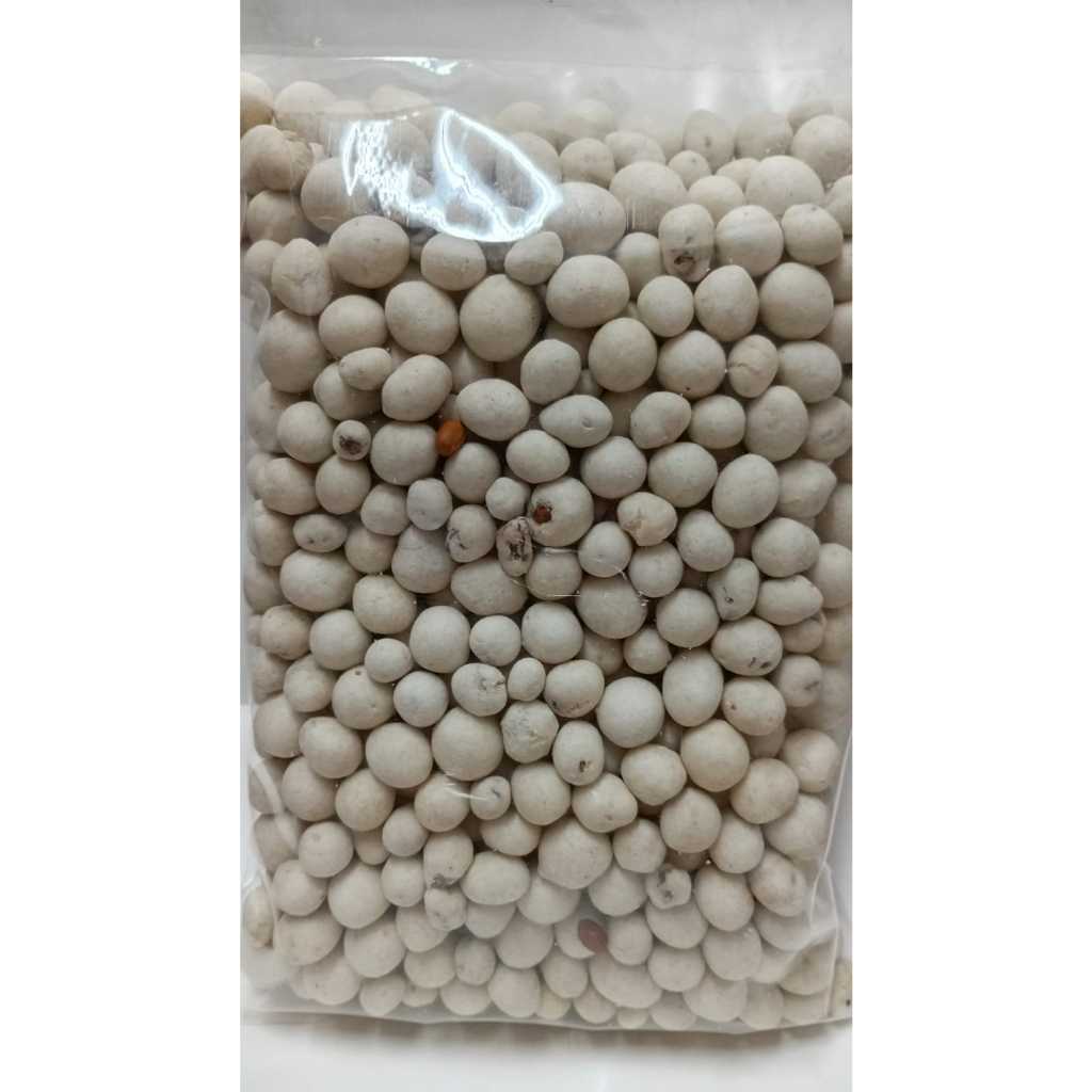 

Kacang Sukro Dalas Putih Kiloan 250 gr, 500gr, & 1Kg - Kacang, Gurih, Renyah, Enak, dan Renyah Food Snacks