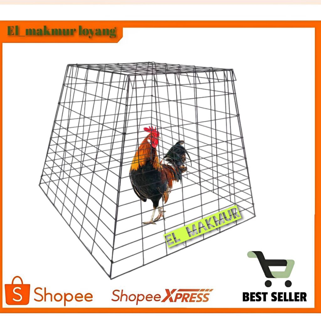 kurung ayam Bangkok lipat, kandang ayam Bangkok piramida