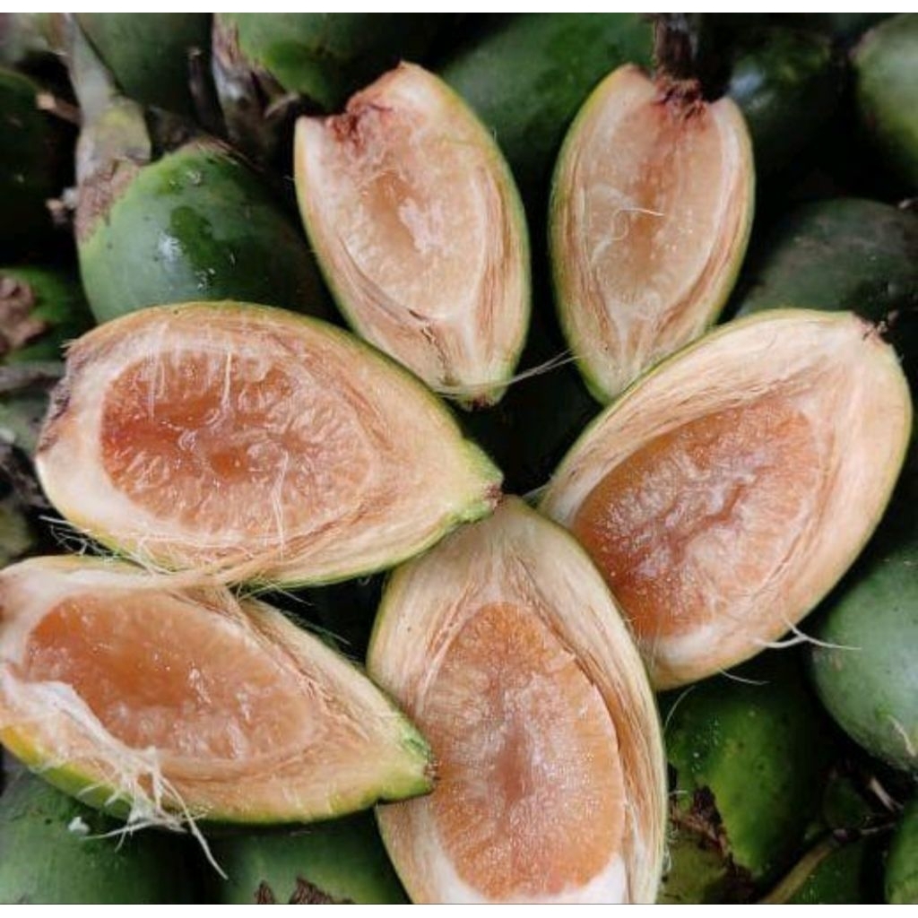 

buah pinangnmuda asli 1kg