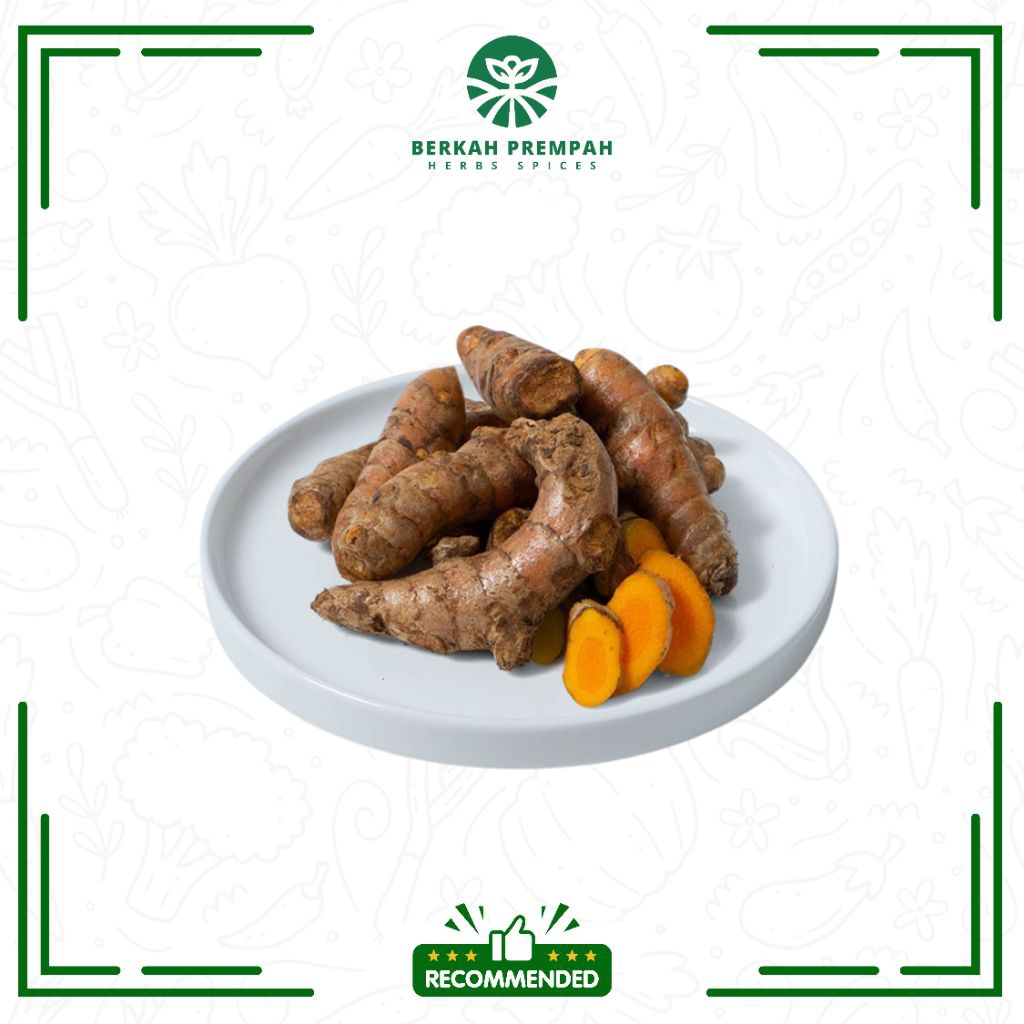 

Kunyit segar / kunir kuning fresh super besar - Berkahprempah