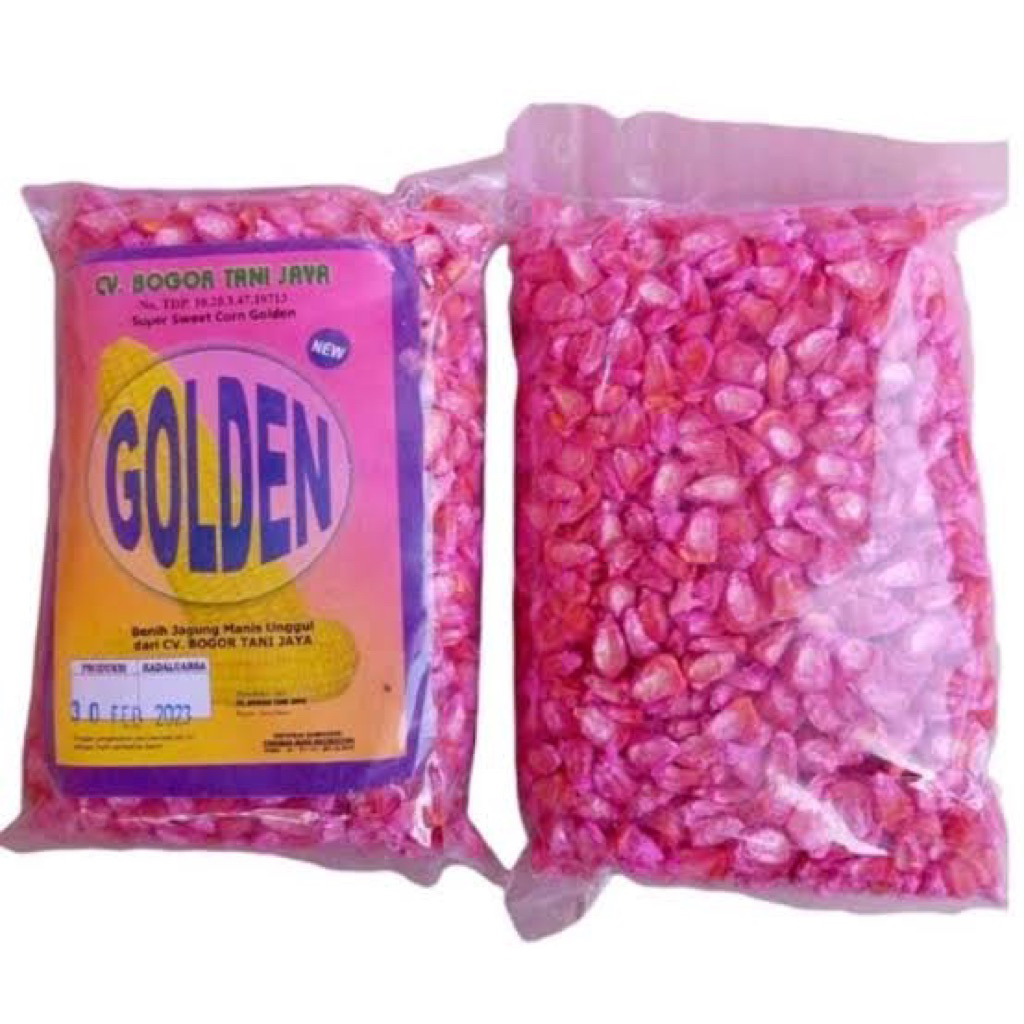 

Golden bibit jagung murah 500gram