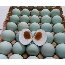 

SEGAR BERSERI - TELOR ASIN 1PCS