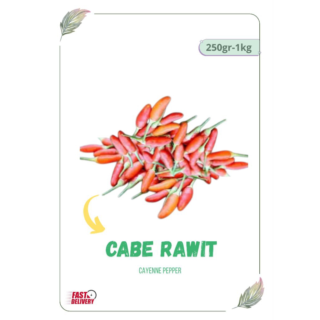 

CABAI RAWIT/CABAI KECIL/CABAI PEDAS