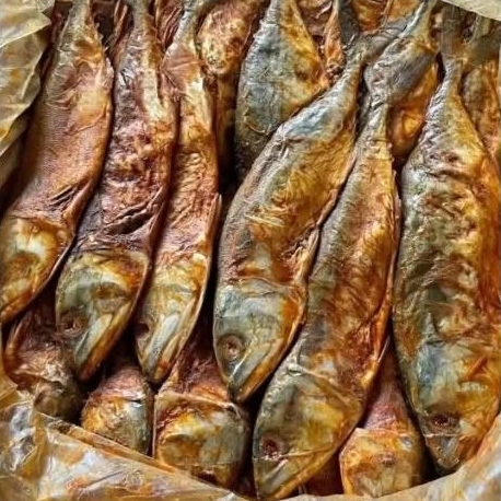 

Ikan Asin Peda Super Gurih – Siap Masak | 250gr / 500gr / 1kg | Packing Aman Anti Bocor
