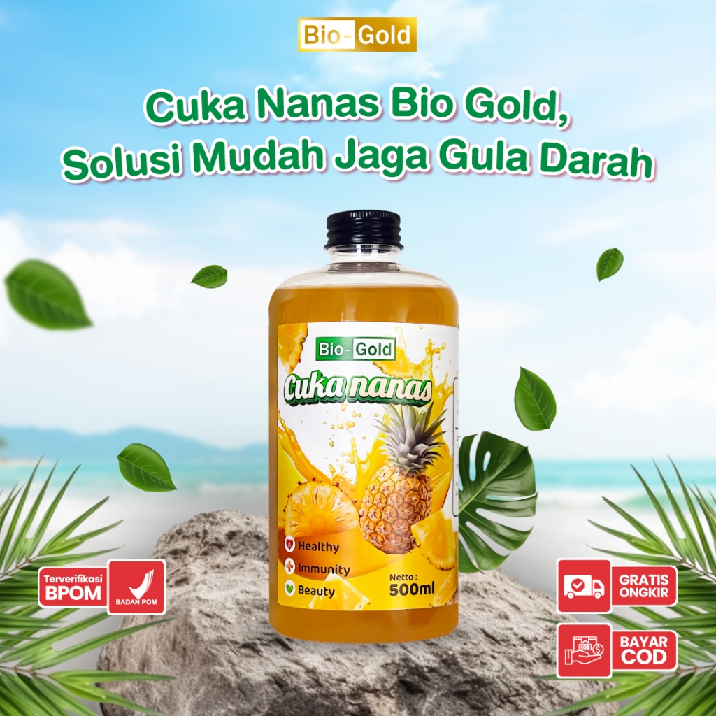 

Cuka Nanas Hasil Fermentasi Buah Nanas Asli Menurunkan Kadar Gula Dalam Tubuh Dan Atasi Kolesterol