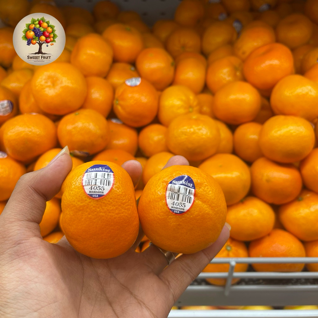 

Jeruk Afourer Australia Seedlees 500gram