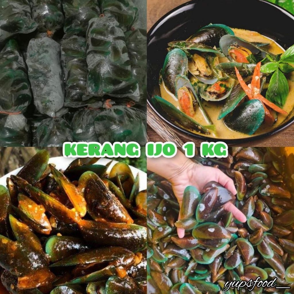 

KERANG IJO FROZEN ±1kg