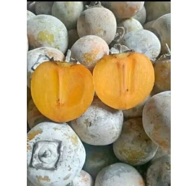 

buah kesemek (buah genit)