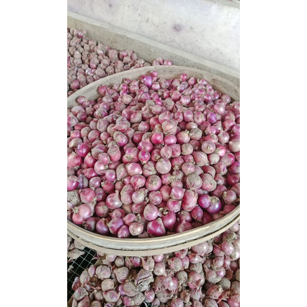 

bawang merah gunung 1kg