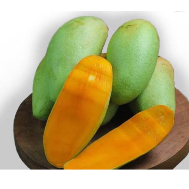 

QUEEN BUAH - Mangga Golek 1kg