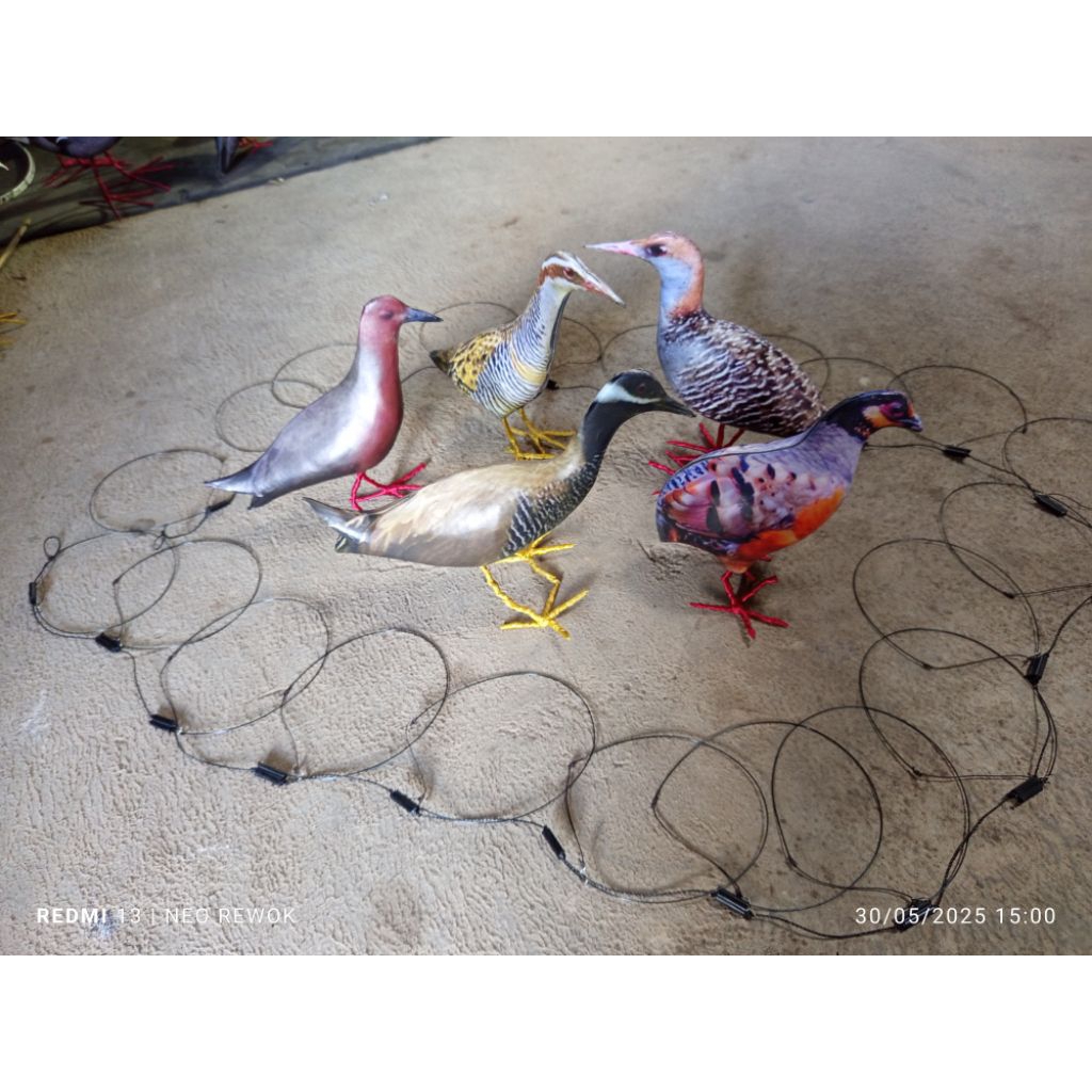 RACIK BURUNG KECIL 25 MATA TALI JERAT BURUNG SINTAR TIKUSAN BEKER RACIK SINTAR PERANGKAP BURUNG SAWA