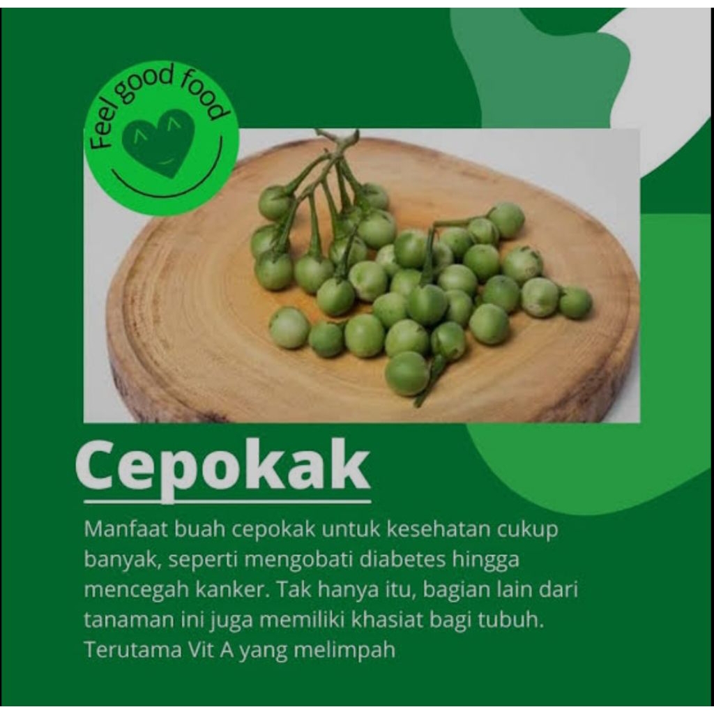 

Buah cengkokak