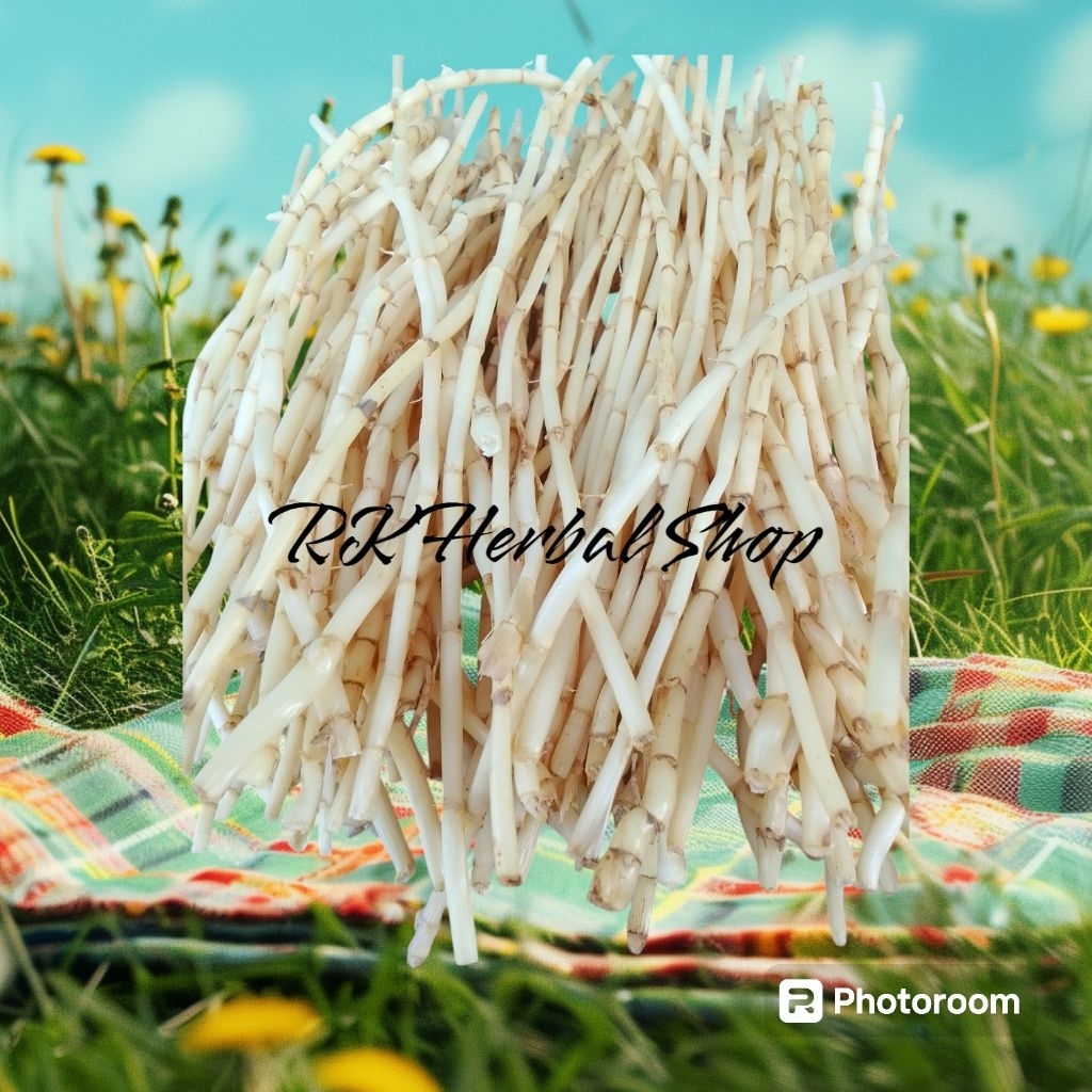 

akar alang-alang segar termurah by rk herbal shop atasi masalah diare ampuh