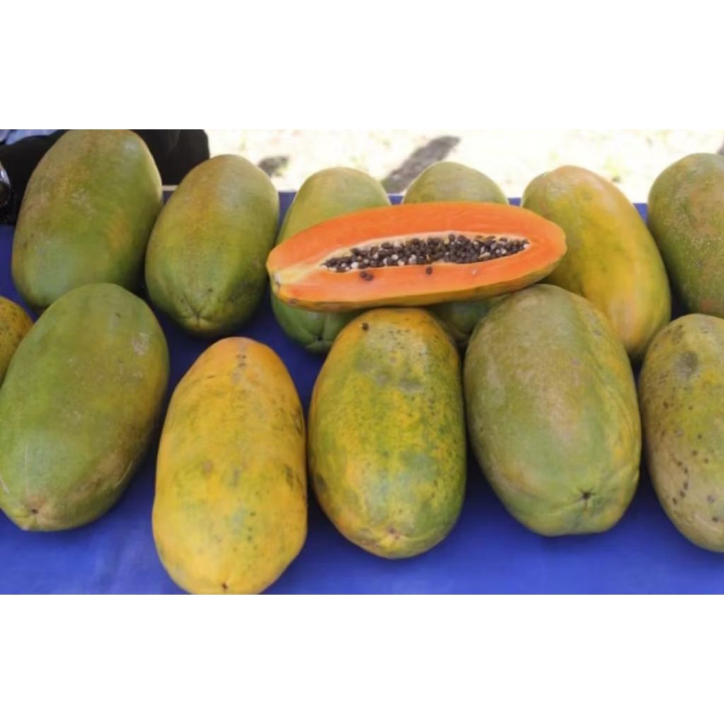 

BUAH PEPAYA CALIFORNIA 1 PCS, SUPER FRES @GEUDANG @GANDUL