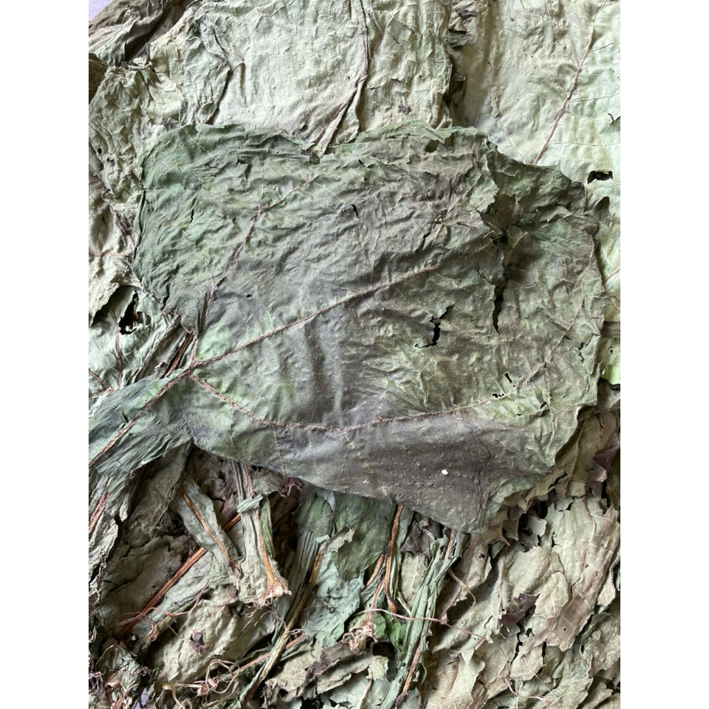 

daun yakon kering 100gr