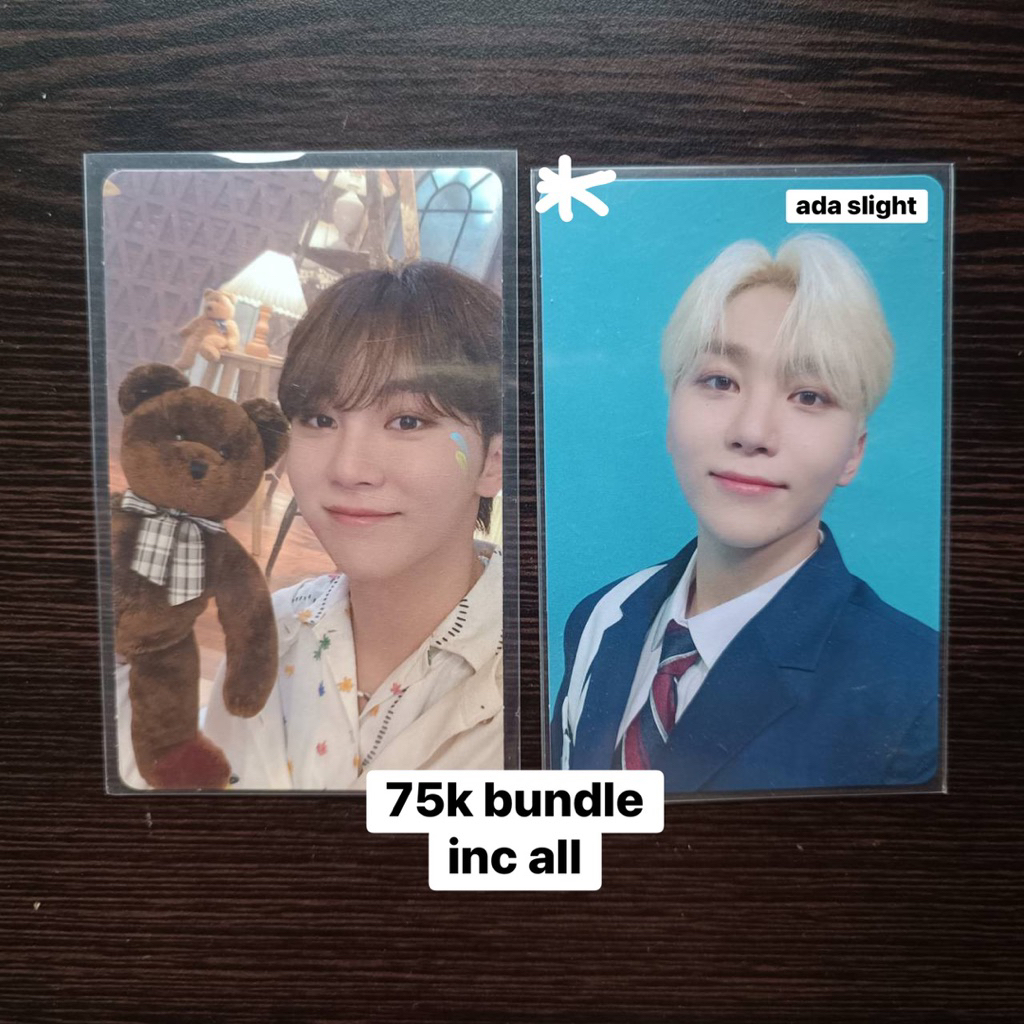 Booked Seventeen Seungkwan Teddy FTS Dream Bundle