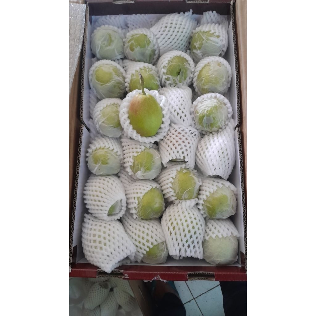 

pir xiangly