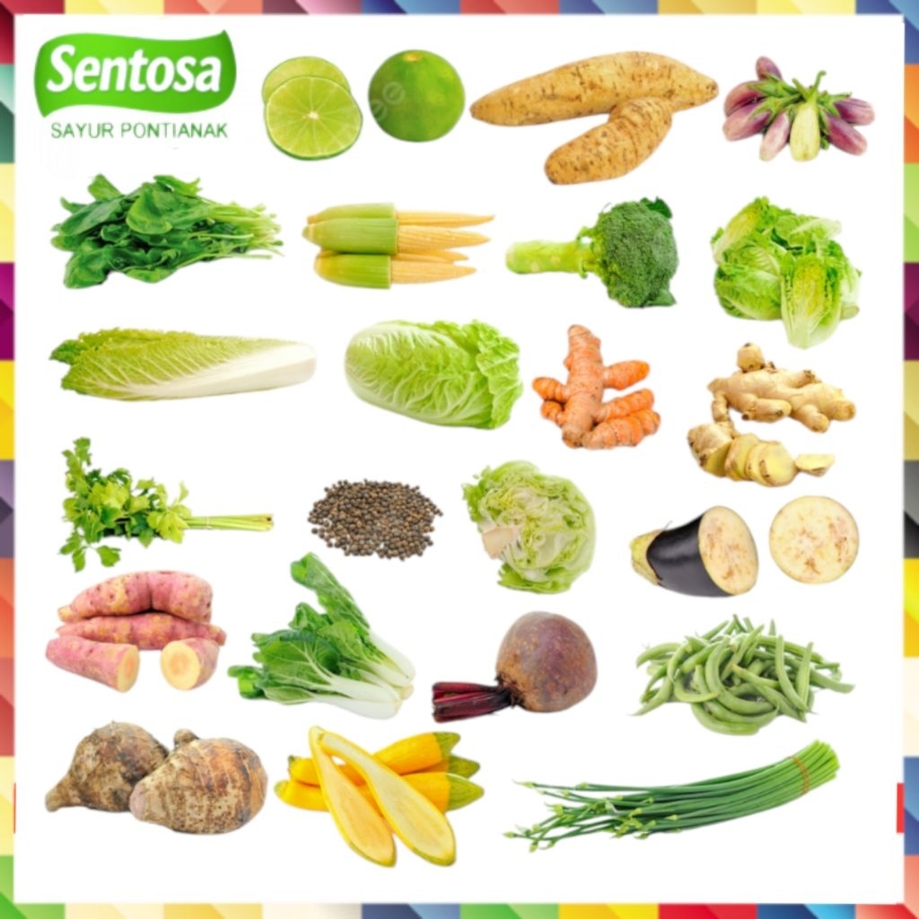 

Sayuran Fresh 5000an Brokoli / Kangkung / Bayam / Kol / Wortel / Kentang / Tomat / Terong / Jagung / Buncis / Sawi / Tahu / Tempe / Ikan Sentosa Sayur Pontianak