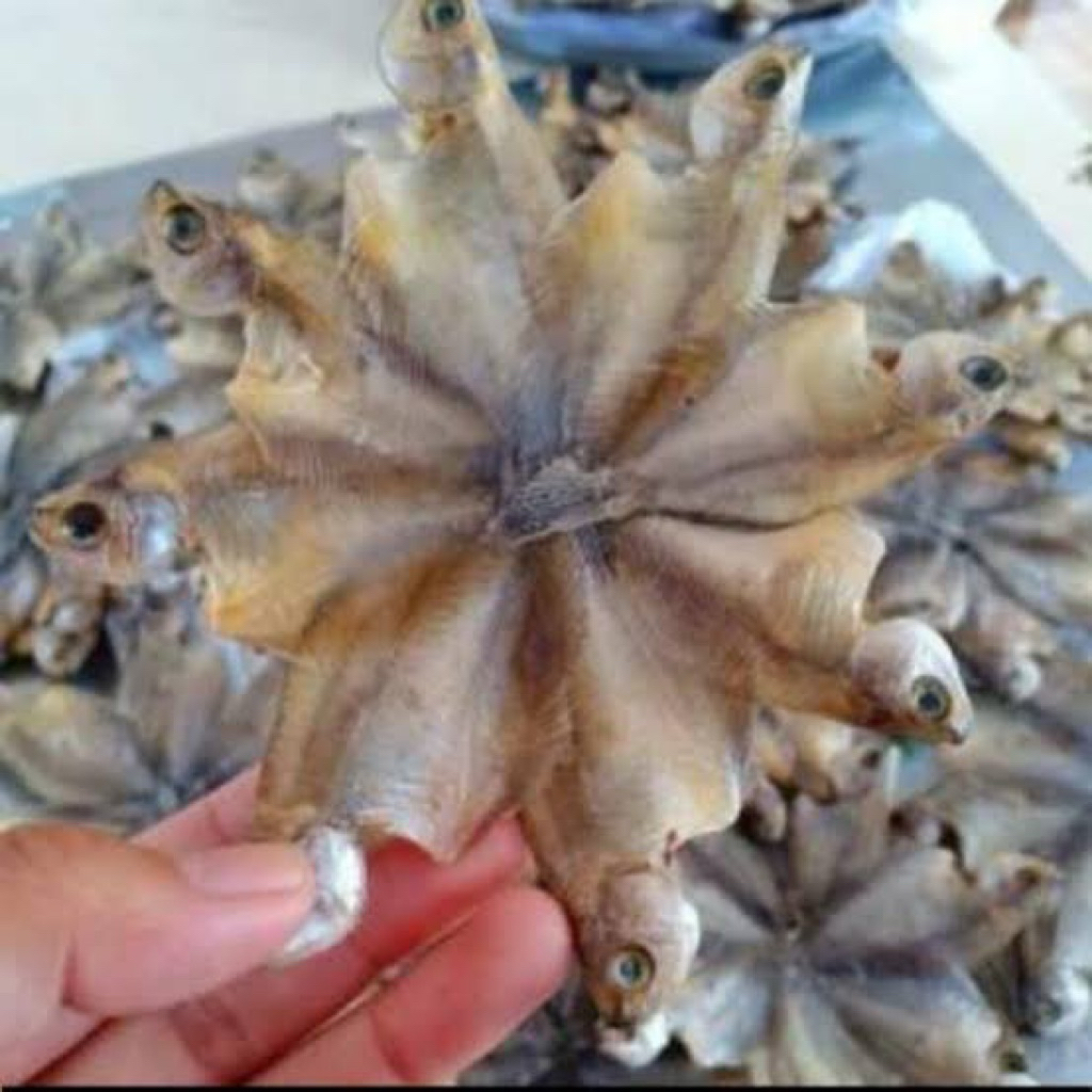 

ikan sepat kering khas banjar isi 1000 gram