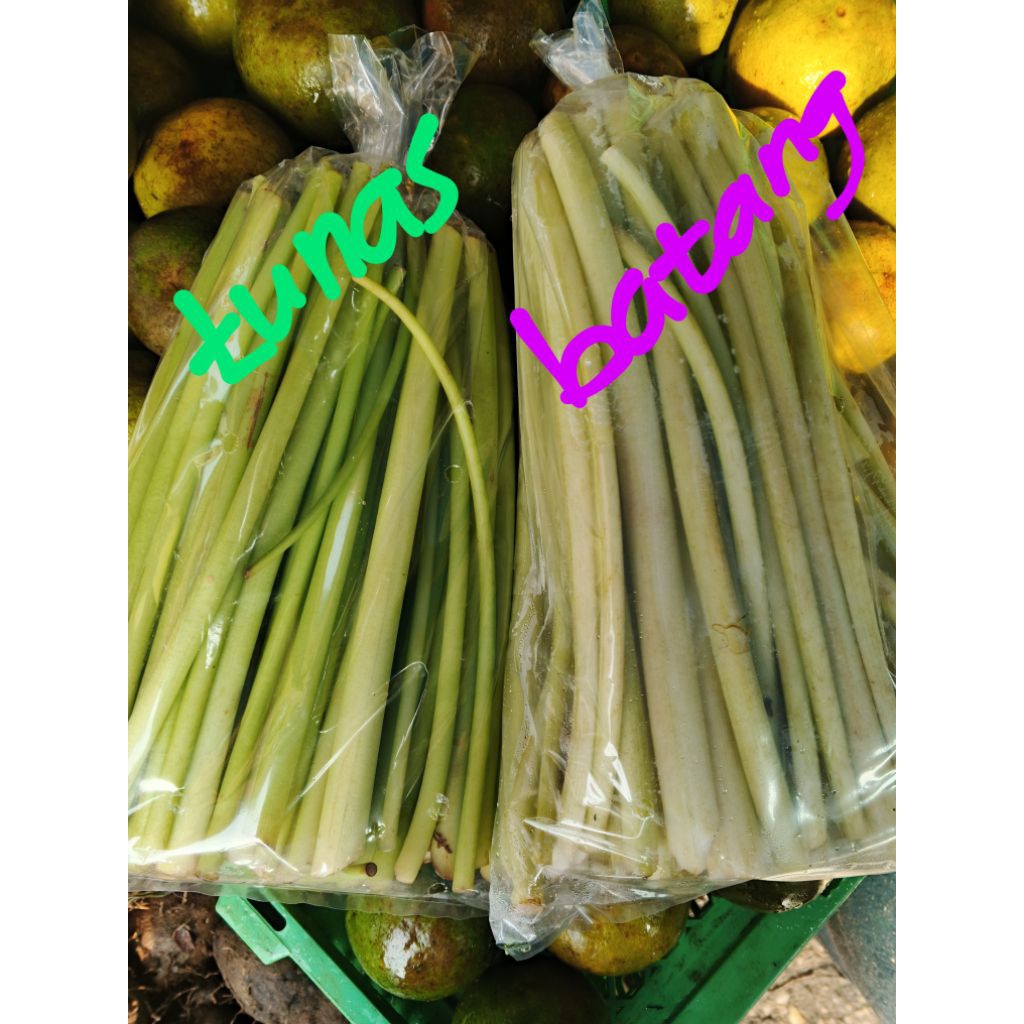 

sayur batang talas/bo ho/bupiho/sayur batang lompong/sebungkus