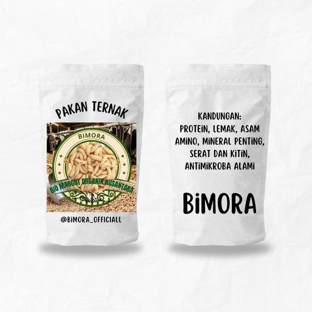 DRY MAGGOT (Maggot Kering)