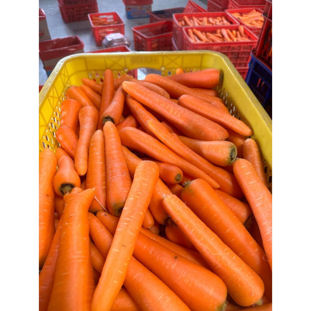

Wortel brastagi manis 1 kg super fresh