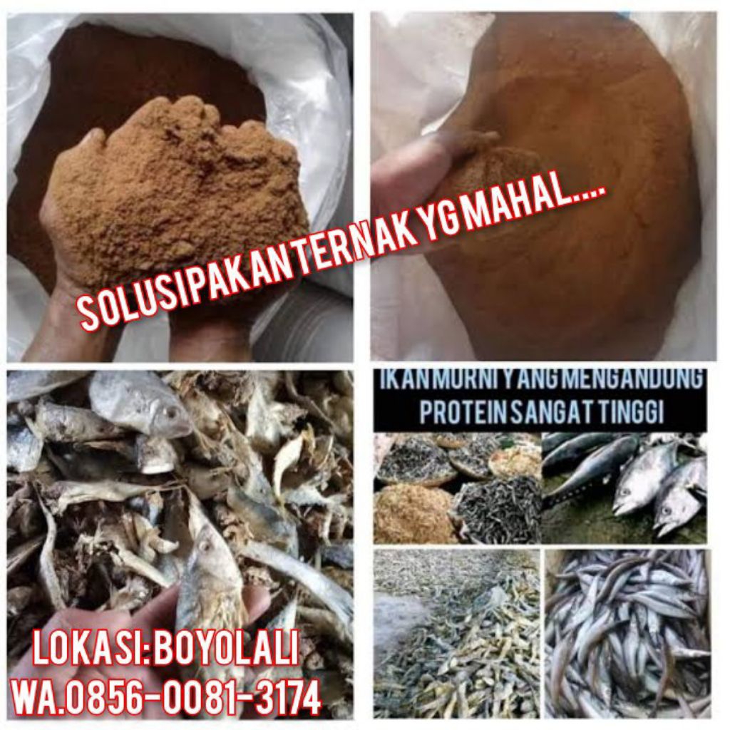 tepung ikan protein Tinggi 1kg tepung ikan pakan ternak tepung ikan pakan ayam