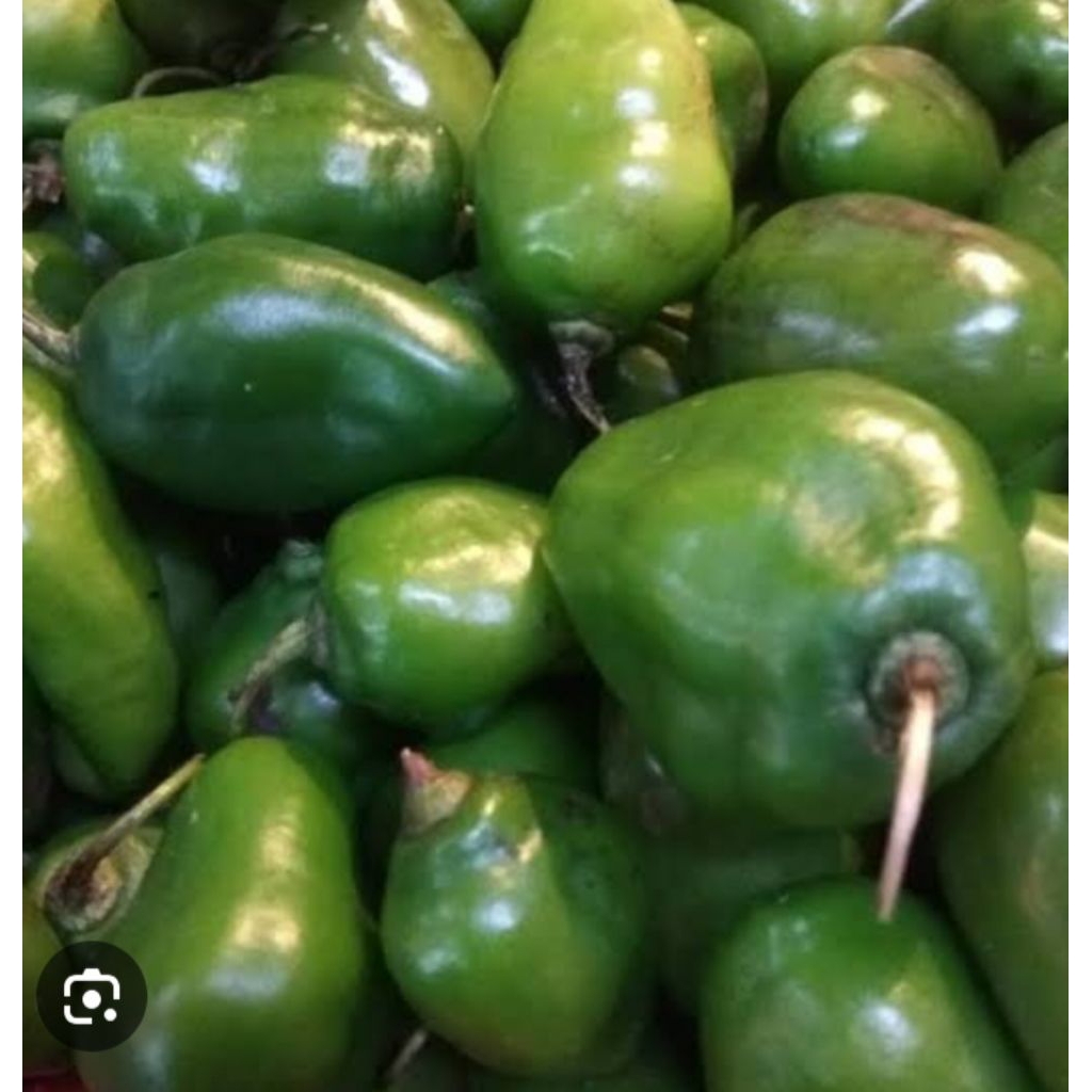 

cabe bulat segar kwalitas terbaik harga per 500 gram