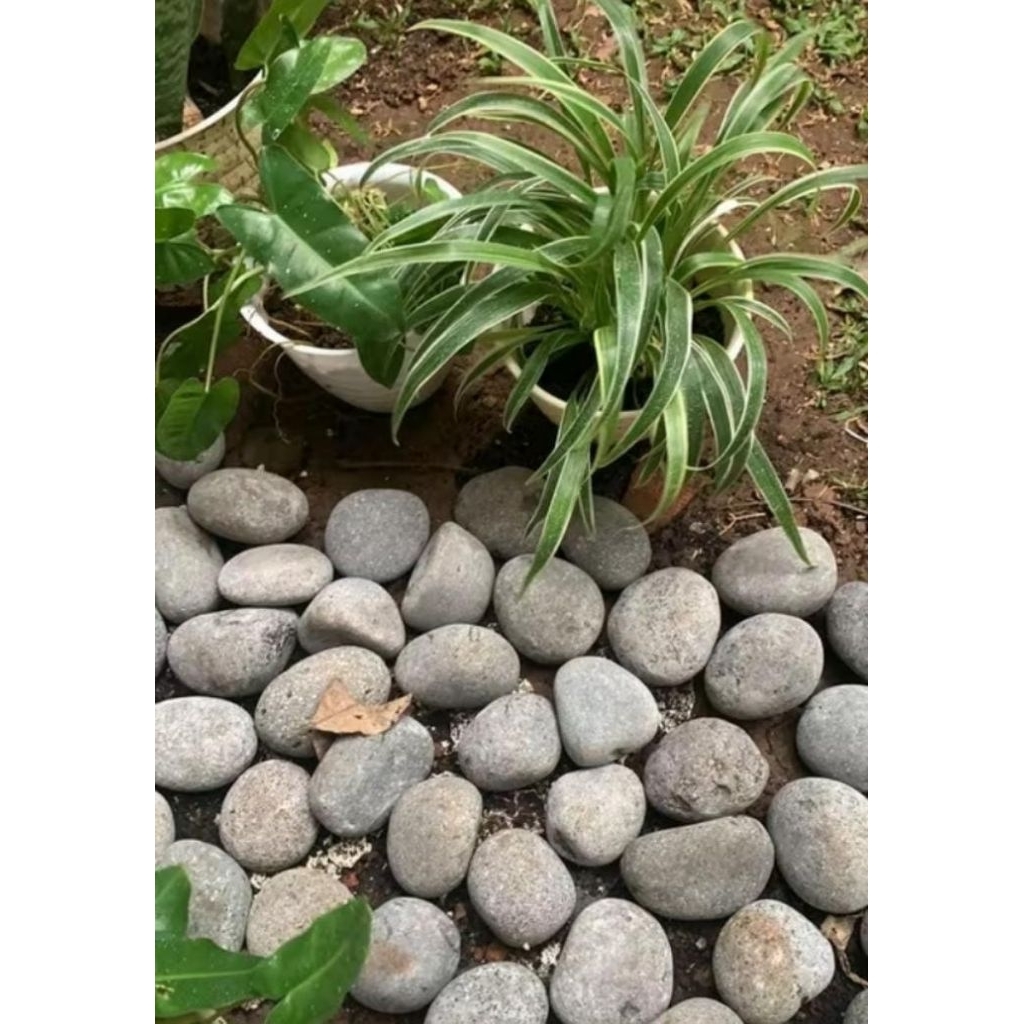 Batu Abu Pelabuhan Hiasan Taman Indoor dan Outdoor