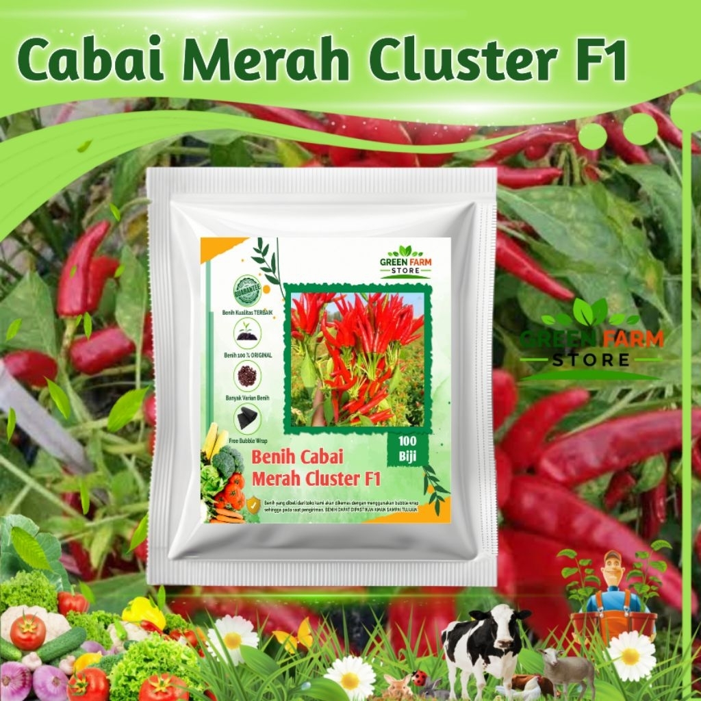 Benih Cabai Merah Cluster F1 (100 biji)
