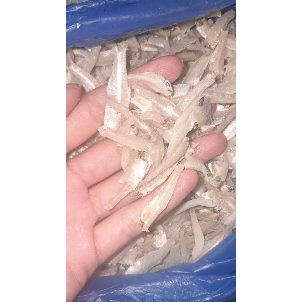 

Ikan Teri Ikan Asin Enak Gurih Premium Renyah Ikan Teri Nasi Ikan Asin Mini