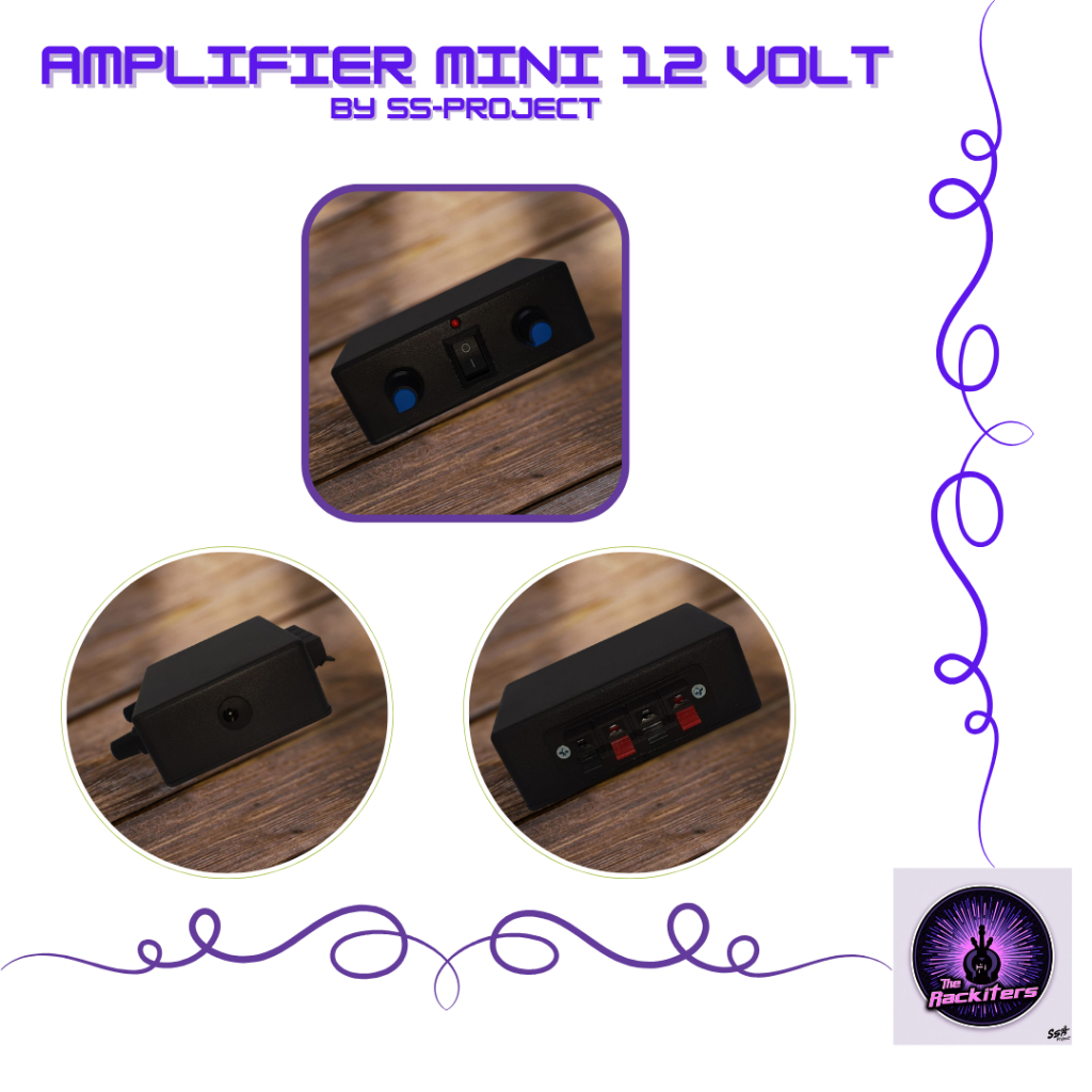 Power Amplifier Mini 12 volt TPA-3110