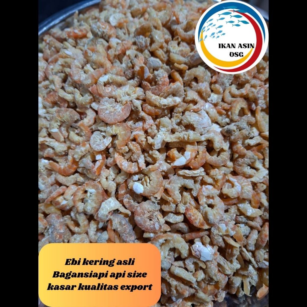 

Ikan Asin Ebi Kering Asli Bagansiapi Api Size Kasar Kualitas Export