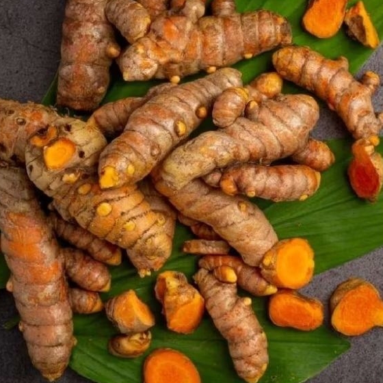 

rempah kunyit segar 1kg masih fresh di ambil langsung dari kebun