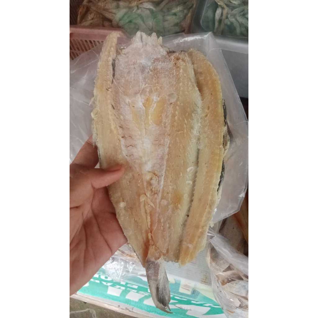 

Ikan asin gabus laut/ ikan asin boso laut 1 kg