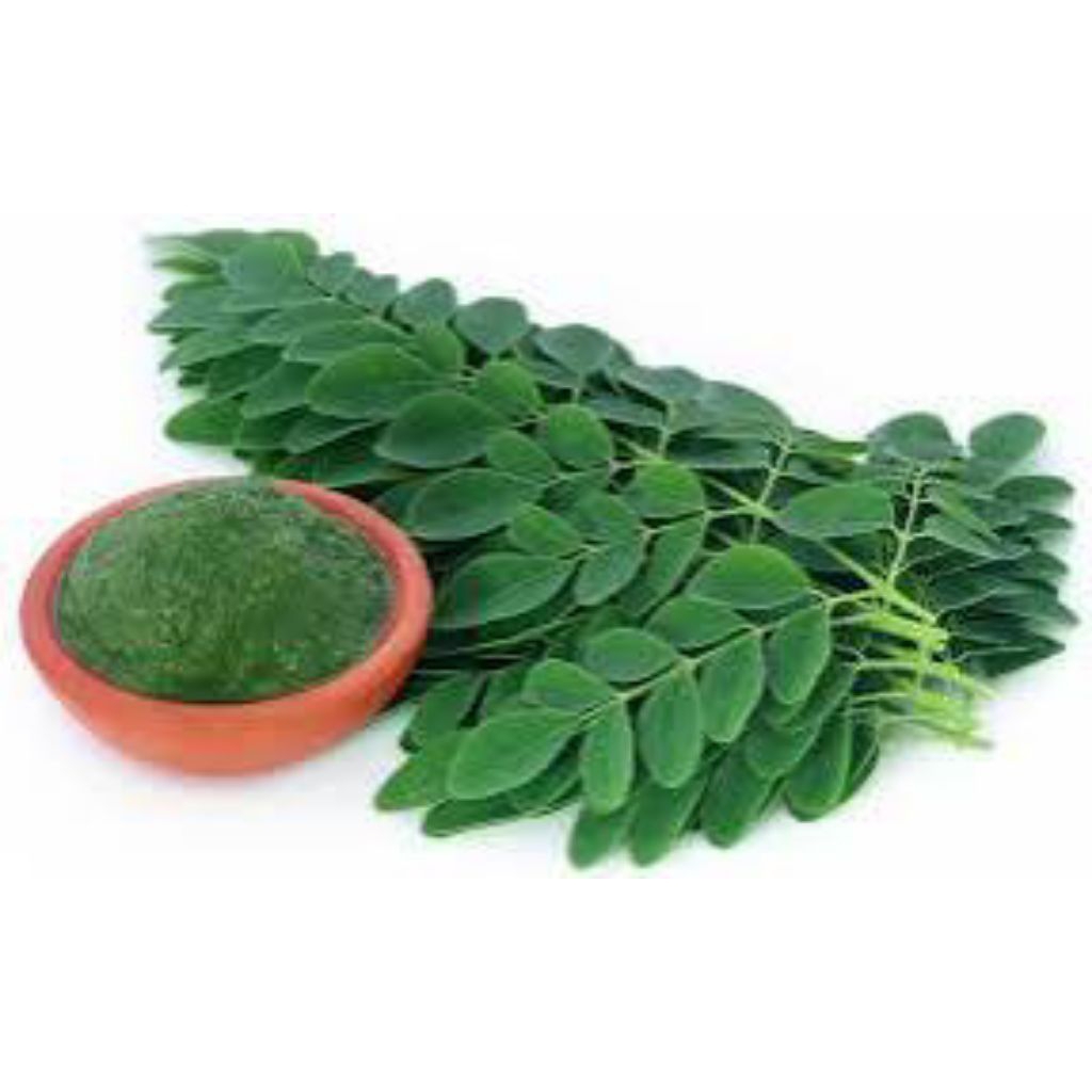 

daun kelor segar pres 300grm