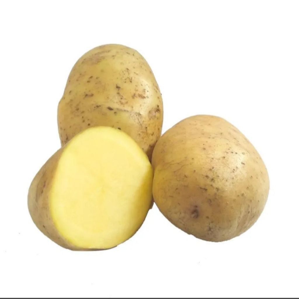 

Kentang Pangalengan 1kg Potato Fresh Vegetable