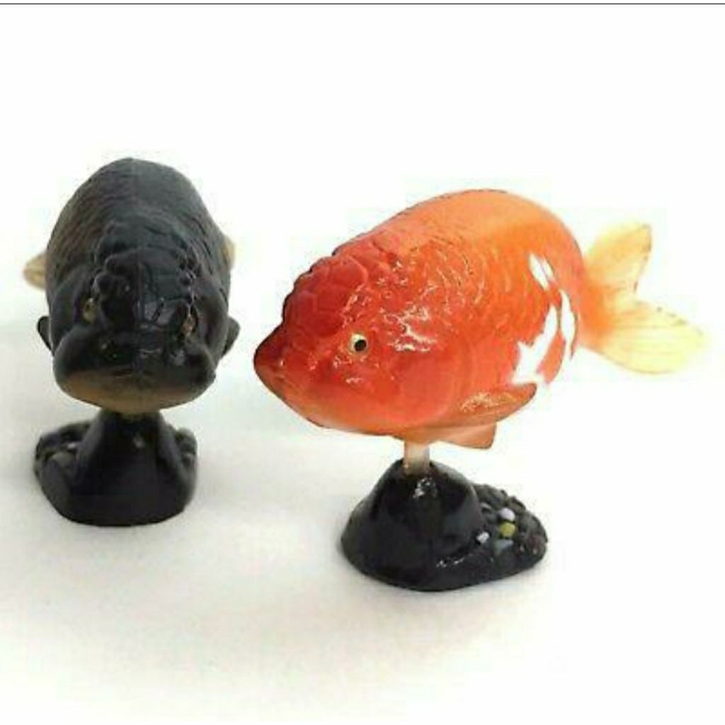 kaiyodo furuta choco egg goldfish ranchu set japan