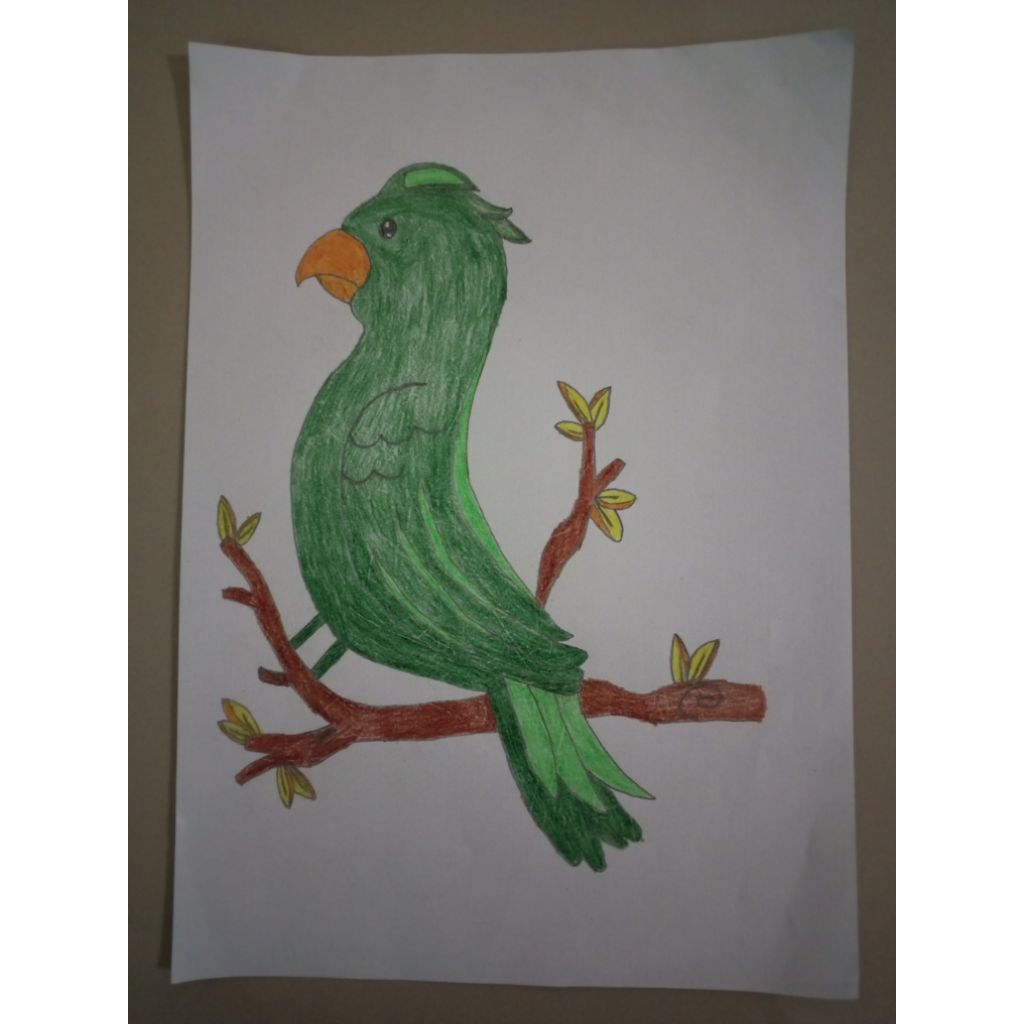 

Burung Hijau Di Ranting Pohon
