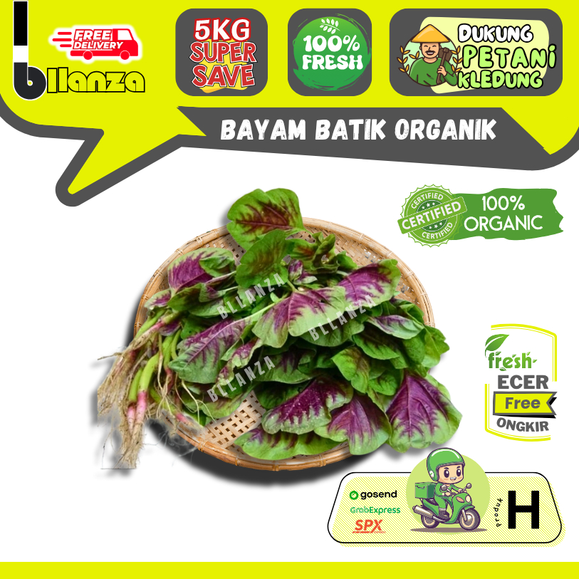 

Bllanza | Bayam Batik Organik — Sayur Gunung ECER (H)