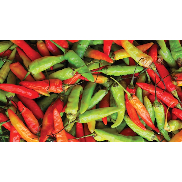 

Cabe Rawit Merah, Cabe Rawit Hijau 100 Gr & 250 Gr