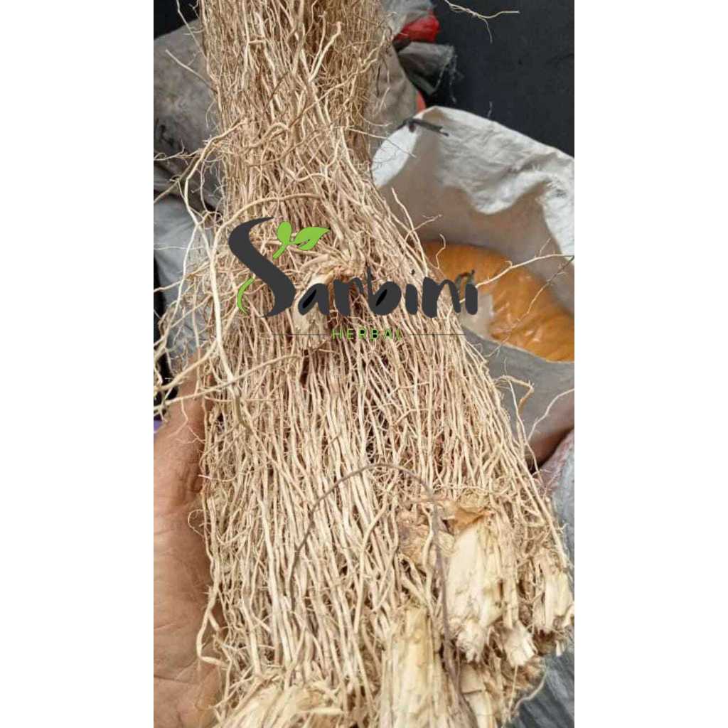 

Akar Wangi Kering / Kering Akar Wangi / 500 gram / 1000 gram / Simplisia Kering Akar Wangi / Akar Wangi Garansi Terjamin 100% Asli Murni / Bahan Akar Wangi Kering / Bahan Akar Wangi Premium / Bahan Akar Wangi Kering Murni