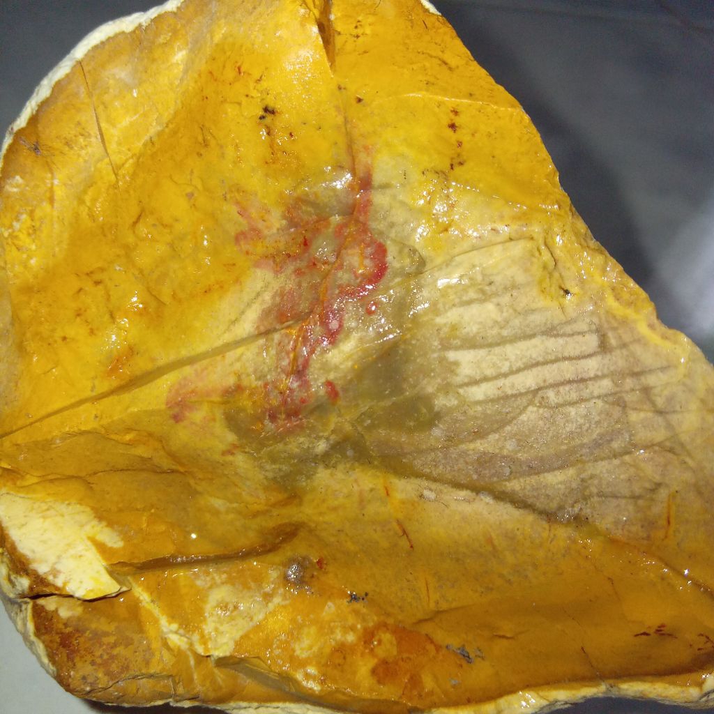 Natural Batu Sisik Ikan Arwana Langka dan Unik