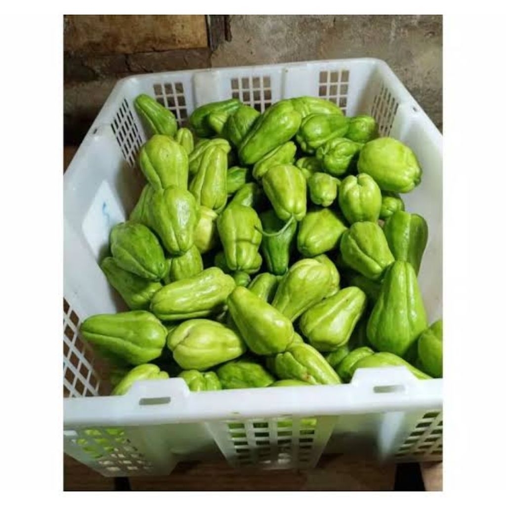 

labu lalap waluh kecil fresh termurah 250 gram 500 gram 1 kg