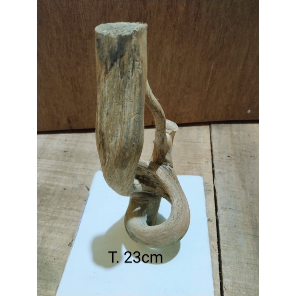 akar mimang alami asli alam unik