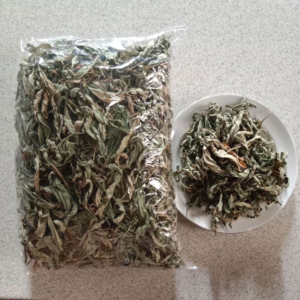 

Daun Sidaguri / Seleguri Kering Asli Herbal Alami 500 Gram